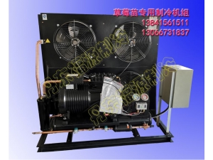 草莓苗專用制冷機(jī)組